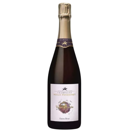Botella de Champagne Poissinet Cuvée Terre d'Irizée Extra-Brut, vista frontal