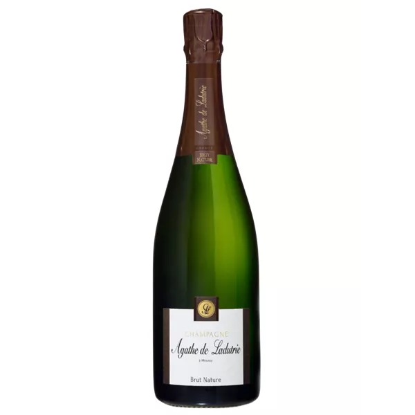 Comprar Champagne AGATHE DE LADUTRIE Brut Nature