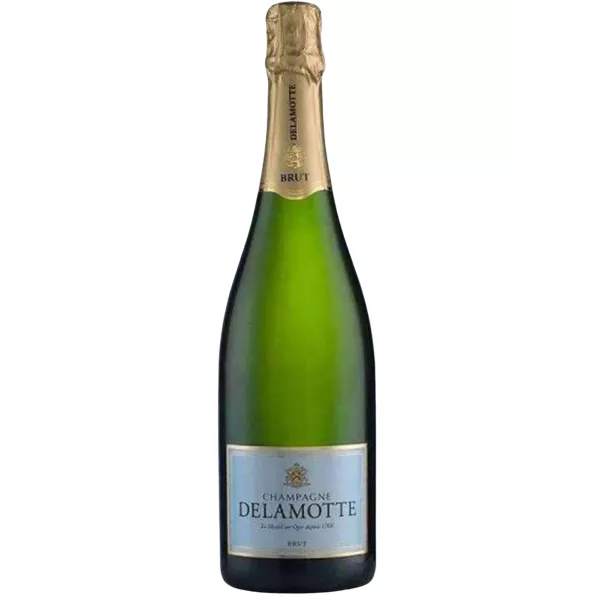 Magnum de Champagne Delamotte Brut Tradition 1,5 litros - botella con fondo neutro